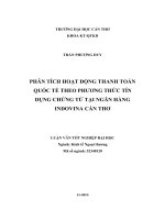 phân tích hoạt động thanh toán quốc tế theo phương thức tín dụng chứng từ tại ngân hàng indovina cần thơ