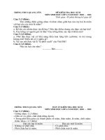 Đề thi HK 2 có đáp án