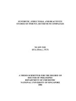 Synthetic, structural and reactivity studies of indenyl ruthenium complexes 