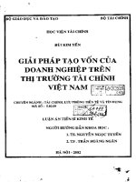 giải pháp tạo vốn của doanh nghiệp trên thị trường tài chính việt nam