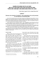 Nghiên cứu đánh giá và lựa chọn một số tổ hợp ghép thích hợp cho bưởi da xanh trong điều kiện mặn vùng ĐBSCL