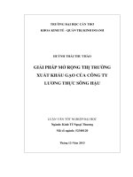 Giải pháp mở rộng thị trường xuất khẩu gạo của công ty lương thực sông hậu