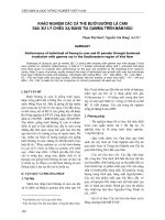 Khảo nghiệm các cá thể Bưởi Đường lá cam sau xử lý chiếu xạ bằng tia gamma trên mầm ngủ