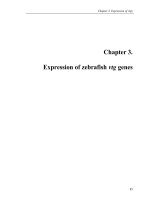 Characterization of zebrafish vitellogenin gene family for potential development of receptor mediated gene transfer method 3 