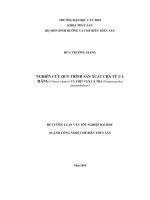 nghiên cứu quy trình sản xuất chả từ cá măng (chanos chanos) và thịt vụn cá tra (pangasianodon hypophthalmus)
