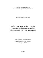 phân tích hiệu quả kỹ thuật trong mô hình trồng khóm của nông hộ tại tỉnh hậu giang