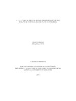 A full custom digital signal processing unit for real time cortical blood flow monitoring