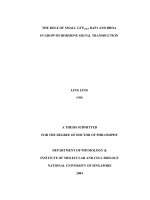 The role of small GTPases rap1 and rhoa in growth hormone signal transduction 