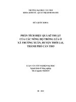 phân tích hiệu quả kĩ thuật của các nông hộ trồng lúa ở xã trường xuân, huyện thới lai, thành phố cần thơ