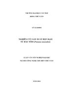 nghiên cứu sản xuất bột đạm từ đầu tôm (penaeus monodon)