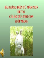 Bài giảng điện tử mầm non lớp Mầm đề tài Cái áo của thỏ con
