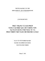 thực trạng và giải pháp nâng cao hiệu quả huy động vốn tại ngân hàng tmcp đầu tư và phát triển việt nam chi nhánh cà mau