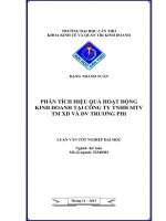 phân tích hiệu quả hoạt động kinh doanh tại công ty tnhh mtv tm xd và dv trương phi