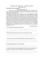 KIỂM TRA GIỮA HỌC KÌ II LỚP 4 MÔN TIẾNG VIỆT