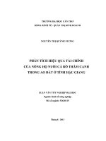 phân tích hiệu quả tài chính của nông hộ nuôi cá rô thâm canh trong ao đất ở tỉnh hậu giang