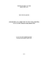 ảnh hưởng của nhịp cho ăn lên tăng trưởng của cá lóc (channa striata, bloch 1793)