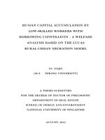 Human capital accumulation by low skilled workers with borrowing constraints   a welfare analysis based on the lucas rural urban migration model