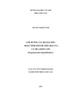 ảnh hưởng của độ mặn đến hoạt tính enzyme tiêu hoá của cá tra giống lớn (pangasianodon hypophthalmus)