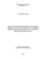 khảo sát thành phần hóa học và hoạt tính chống oxy hóa của hỗn hợp polysaccharide ly trích từ loài rong mơ sargassum microcystum và rong quạt padina gymnospora