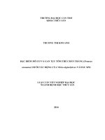 đặc điểm mô cơ và gan tụy tôm thẻ chân trắng (penaeus vannamei) dưới tác động của vibrio alginolyticus và dầu spo