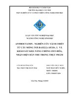 anthocyanin   nghiên cứu tách chiết từ cây mồng tơi basella ruba  l và khảo sát khả năng chống oxy hóa, nhận diện hàn the trong thực phẩm
