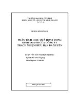 phân tích hiệu quả hoạt động kinh doanh của công ty trách nhiệm hữu hạn ba xuyên