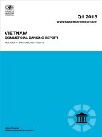 Vietnam commercial banking report   q1 2015 