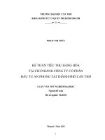 kế toán tiêu thụ hàng hóa tại chi nhánh công ty cổ phần đầu tư an phong tại thành phố cần thơ