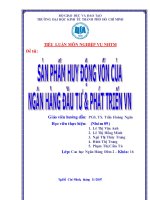 Tiểu luận nghiệp vụ ngân hàng thương mại sản phẩm huy động vốn của ngân hàng đầu tư và phát triển việt nam 