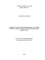 nghiên cứu đặc điểm mô bệnh học của bệnh vi khuẩn trên cá thát lát còm (chitala chitala hamilton, 1822)