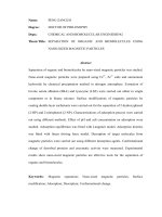 Separation of organic and biomolecules using nano sized magnetic particles 