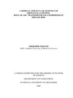 A medical molecular genetics of orofacial clefting role of ABC transporter polymorphisms in disease risk