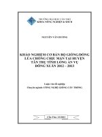 khảo nghiệm cơ bản bộ giống dòng lúa chống chịu mặn tại huyện tân trụ tỉnh long an vụ đông xuân 2012 – 2013