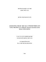 ảnh hưởng thuốc trừ sâu cypermethrin lên tăng trưởng của tôm sú (penaeus monodon) giai đoạn tôm giống
