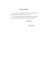 Luận văn xây dựng mô hình ghép cải tạo vườn cà phê vối kinh doanh bằng các tinh dòng cà phê vối chọn lọc trên địa bàn huyện đăk mil, tỉnh đăk lăk