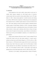 Cytophysiologic effects and molecular inhibition of a functional actin specific ADP ribosyltransferase CDT from clostridium difficile 3 