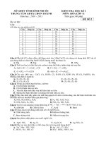 Đề KT Hóa 11   HKII 1011