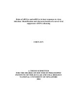 Roles of siRNAs and miRNAs in host responses to virus infection  identification and characterization of a novel viral suppressor of RNA silencing 