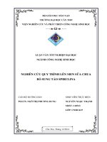 nghiên cứu quy trình lên men sữa chua bổ sung tảo spirulina