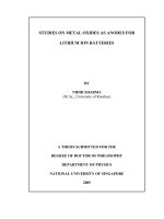 Studies on metal oxides as anodes for lithium ion batteries 