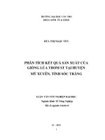 phân tích kết quả sản xuất của giống lúa thơm st tại huyện mỹ xuyên, tỉnh sóc trăng