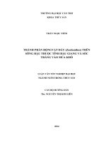 thành phần độngvật đáy (zoobenthos) trên sông hậu thuộc tỉnh hậu giang và sóc trăng vào mùa khô