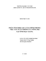 phân tích hiệu quả tài chính trong việc sản xuất khóm của nông hộ tại tỉnh hậu giang
