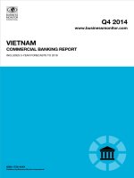 Vietnam commercial banking report   q4 2014 