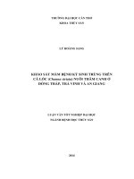 khảo sát mầm bệnh ký sinh trùng trên cá lóc (channa striata) nuôi thâm canh ở đồng tháp, trà vinh và an giang