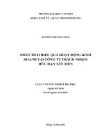 phân tích hiệu quả hoạt động kinh doanh tại công ty trách nhiệm hữu hạn tân tiến