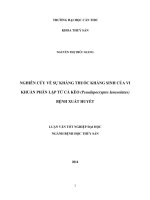 nghiên cứu về sự kháng thuốc kháng sinh của vi khuẩn phân lập từ cá kèo (pseudapocryptes lanceolatus) bệnh xuất huyết