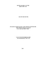 ứng dụng vi khuẩn bacillus subtillis trong nuôi tôm thẻ chân trắng (litopenaeusvannamei) ở các độ mặn khác nhau