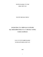 ảnh hưởng của thời gian nuôi đến đặc điểm hình thái của cá rô đầu vuông (anabas testudineus)