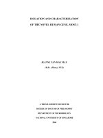 Isolation and characterization of the novel human gene, MOST 1 